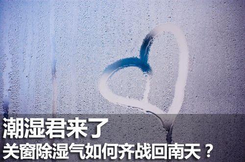 “回南天”的天敌--立红竹炭包